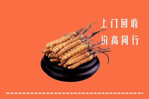 高价求购：太原市回收散虫草